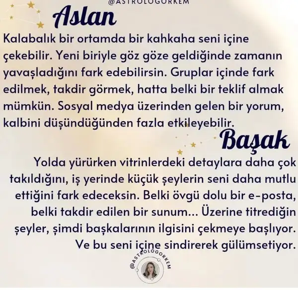 venik11 (3).webp