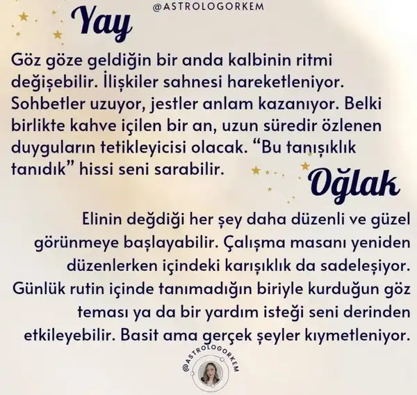 venik11 (5).webp