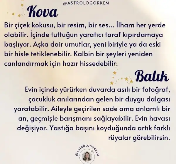 venik11 (6).webp
