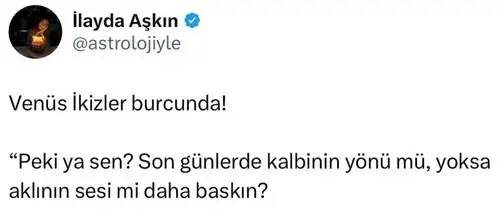 venik157.webp