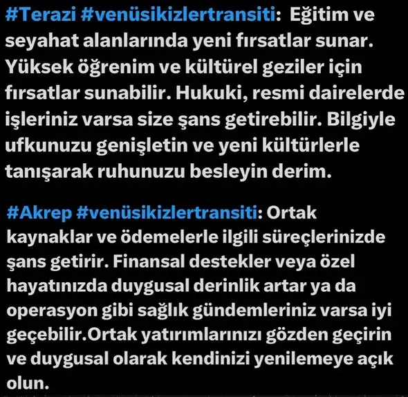 venik22 (6).webp