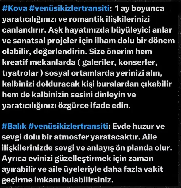 venik22 (8).webp