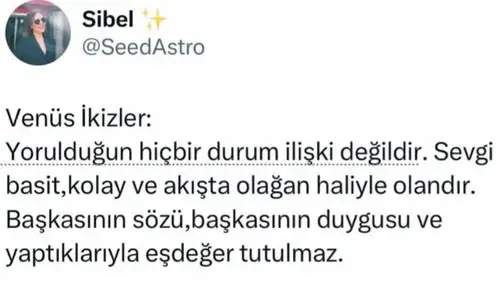 venik24.webp