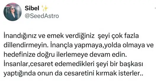 venik26 (1).webp