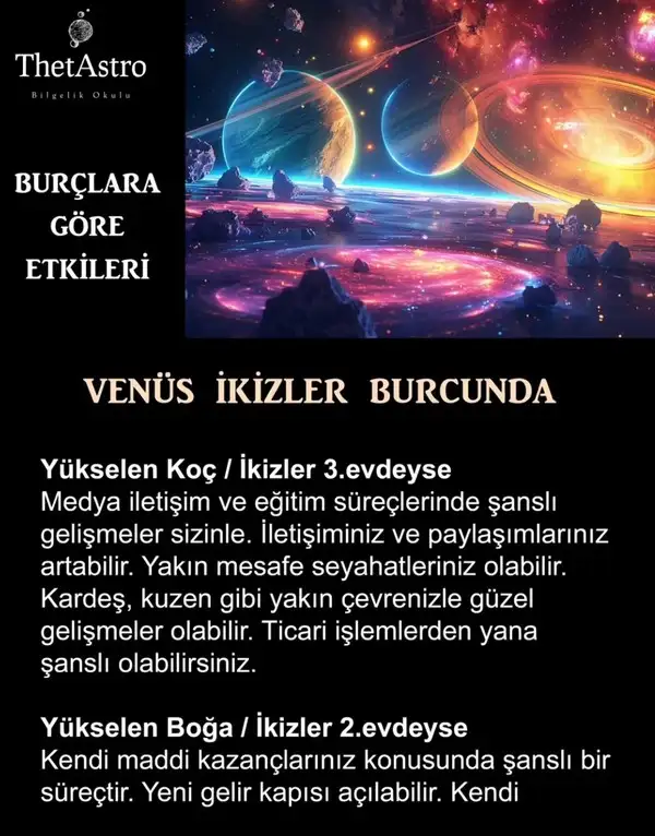 venik3 (2).webp