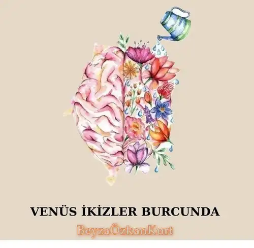 venik33 (1).webp