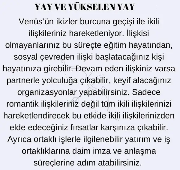 venik33 (10).webp