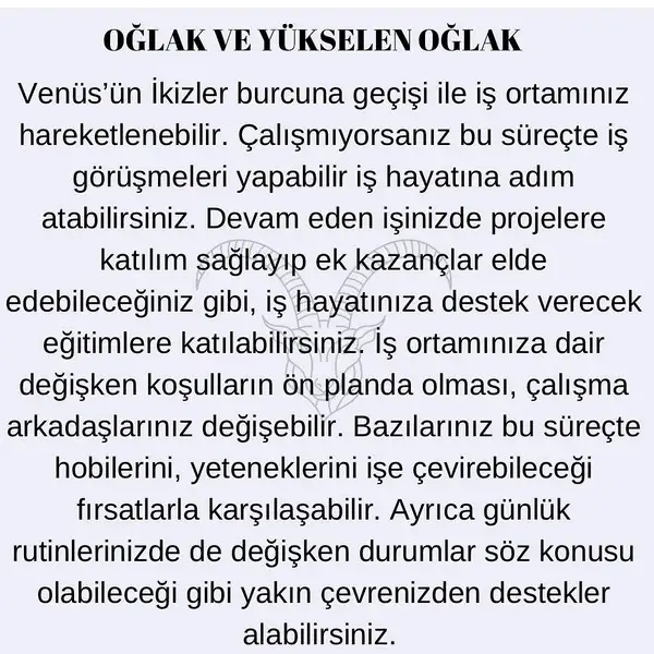 venik33 (11).webp