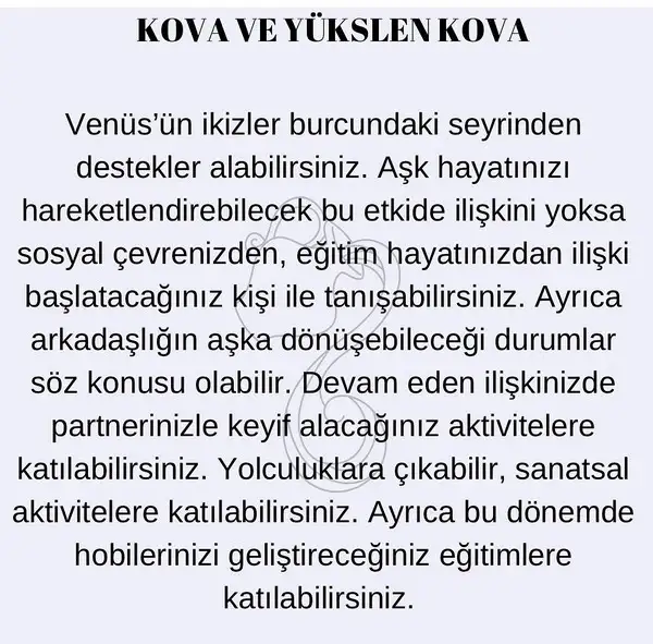 venik33 (12).webp