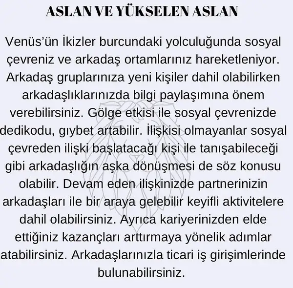 venik33 (6).webp