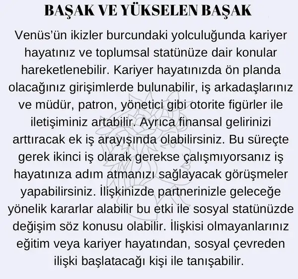 venik33 (7).webp