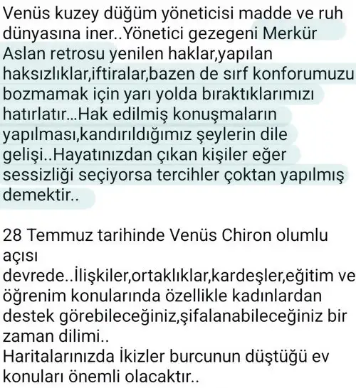 venikj8 (5).webp