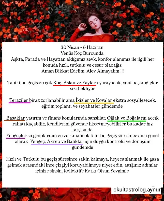 venkoç.webp