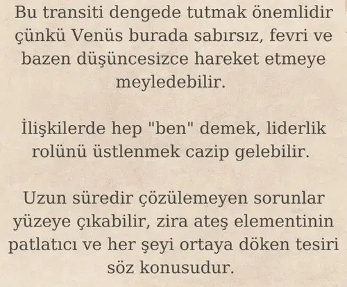venkoç1 (2).webp