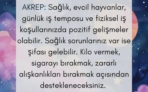 venkoç5 (12).webp
