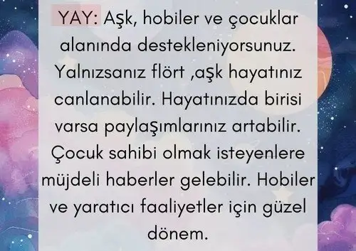 venkoç5 (13).webp