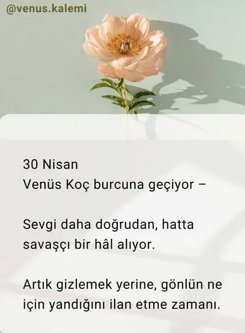 venkoç5.webp