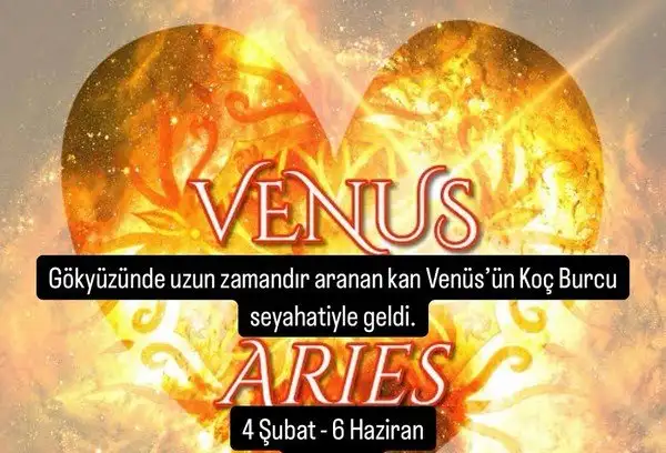 venkoç9 (1).webp