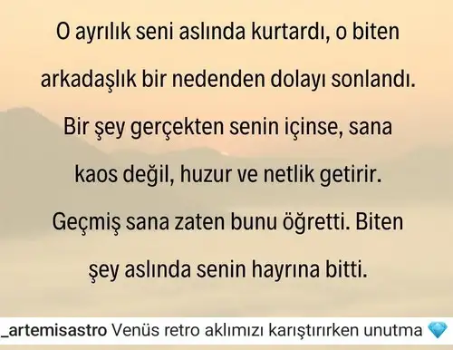 venret.webp
