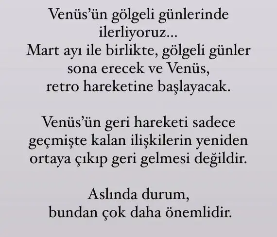 venret1 (2).webp