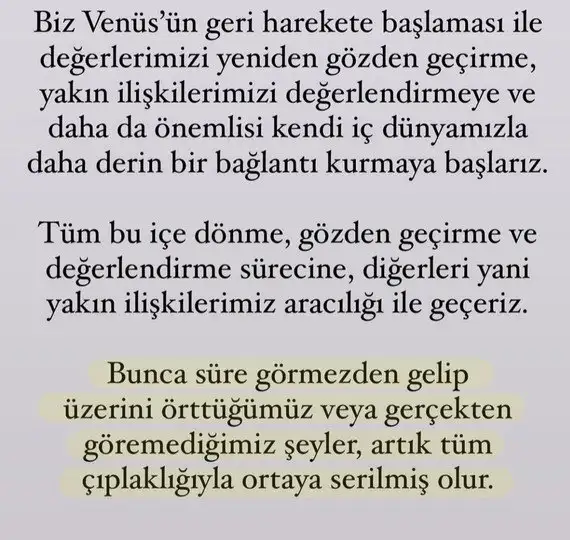 venret1 (3).webp