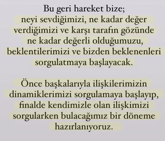 venret1 (4).webp