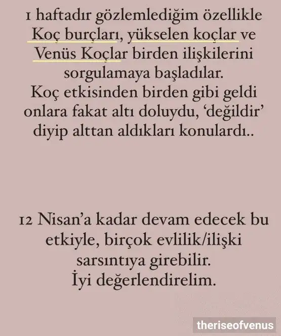venret43 (2).webp