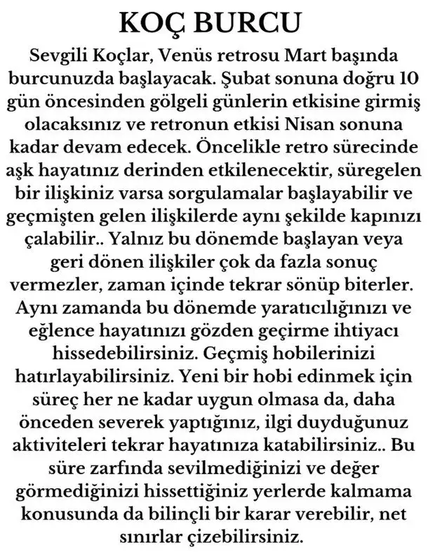 venret5 (2).webp