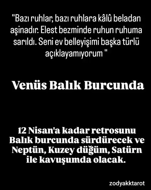 venret54.webp