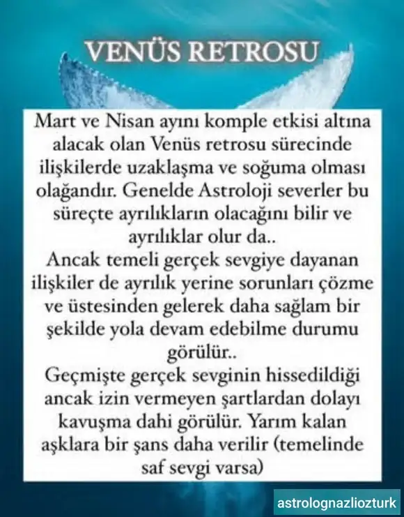 venret544.webp