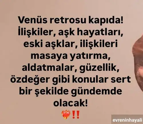 venretr4.webp