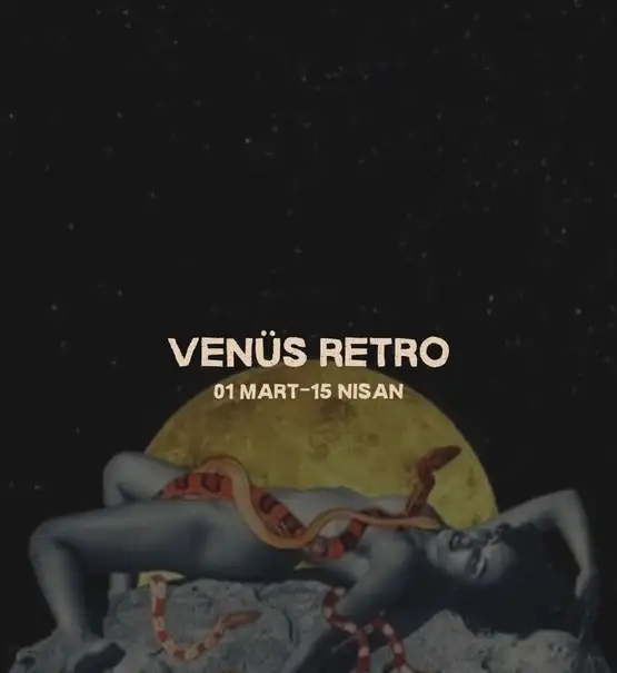venss.webp