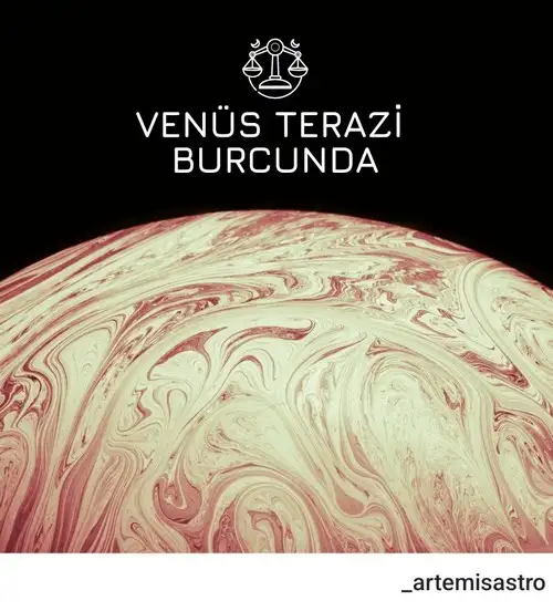 venter (1).webp