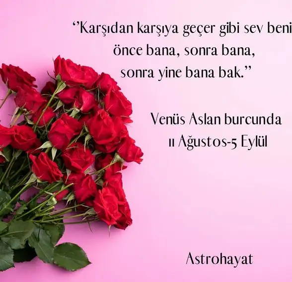venüs aslan1 (1).webp