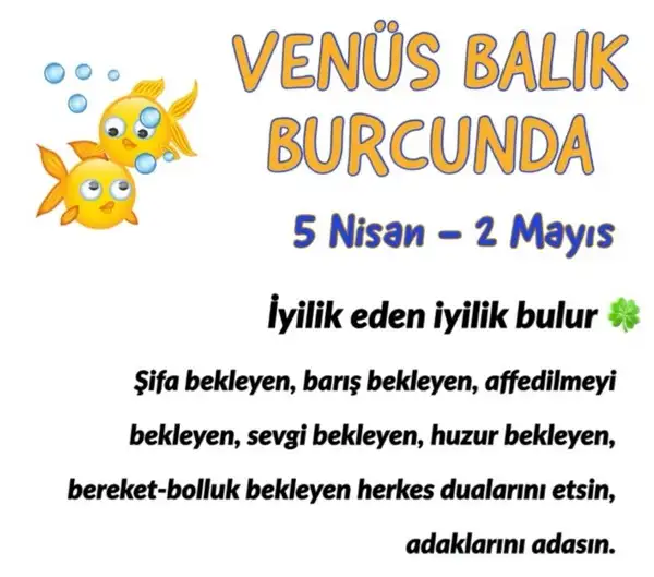 venüs balık1 (1).webp