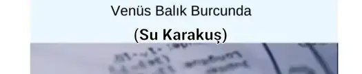 venüs balık2 (1).webp