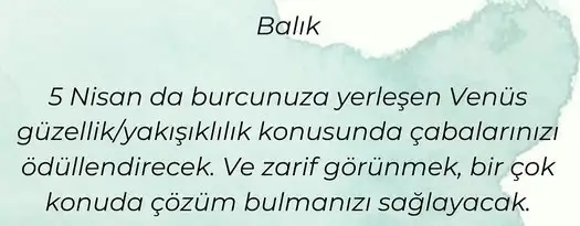 venüs balık2 (13).webp