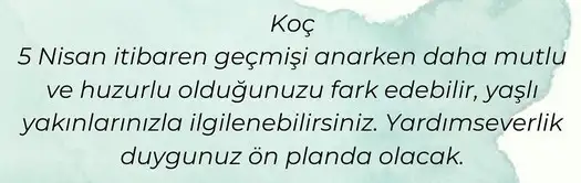 venüs balık2 (2).webp
