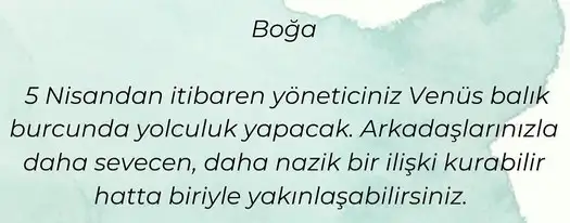 venüs balık2 (3).webp