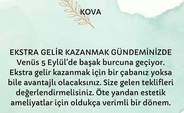venüs başak0 (11).webp