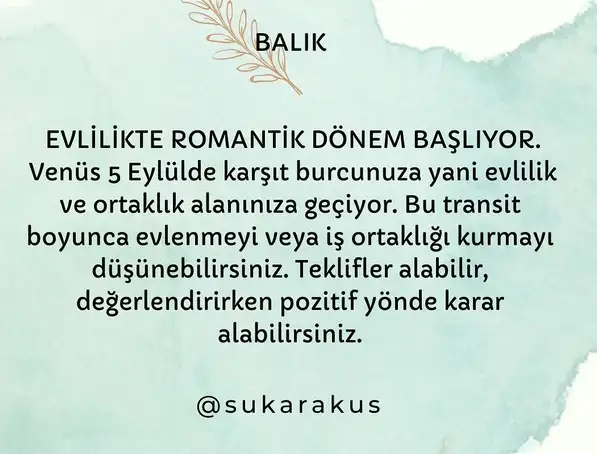 venüs başak0 (12).webp