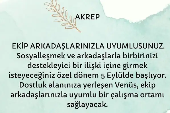 venüs başak0 (8).webp
