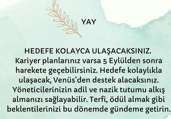 venüs başak0 (9).webp