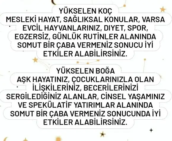 venüs başak11 (2).webp