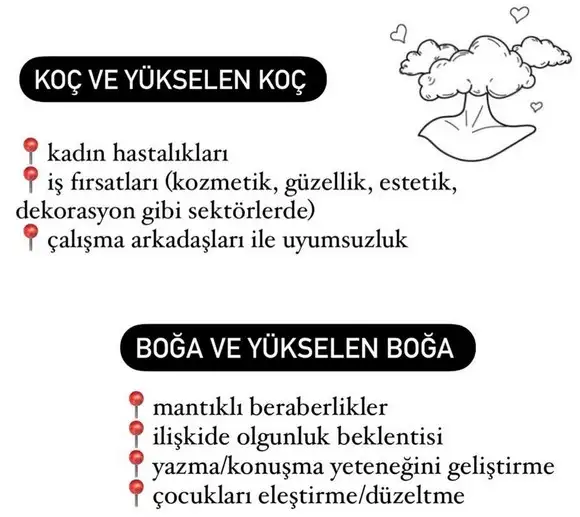 venüs başak12 (3).webp