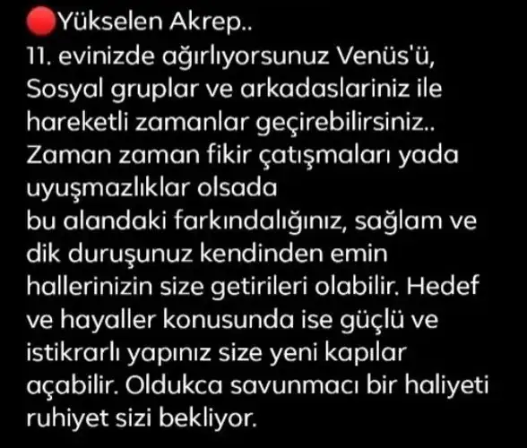 venüs başak2 (4).webp