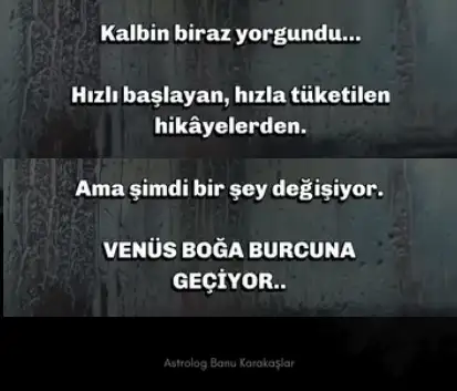 venüs boğa1.webp