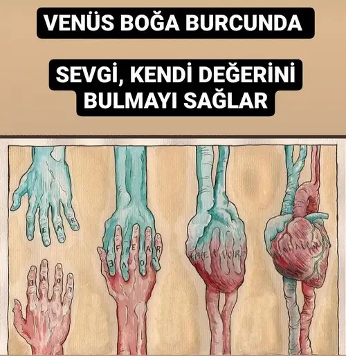 venüs boğa5.webp