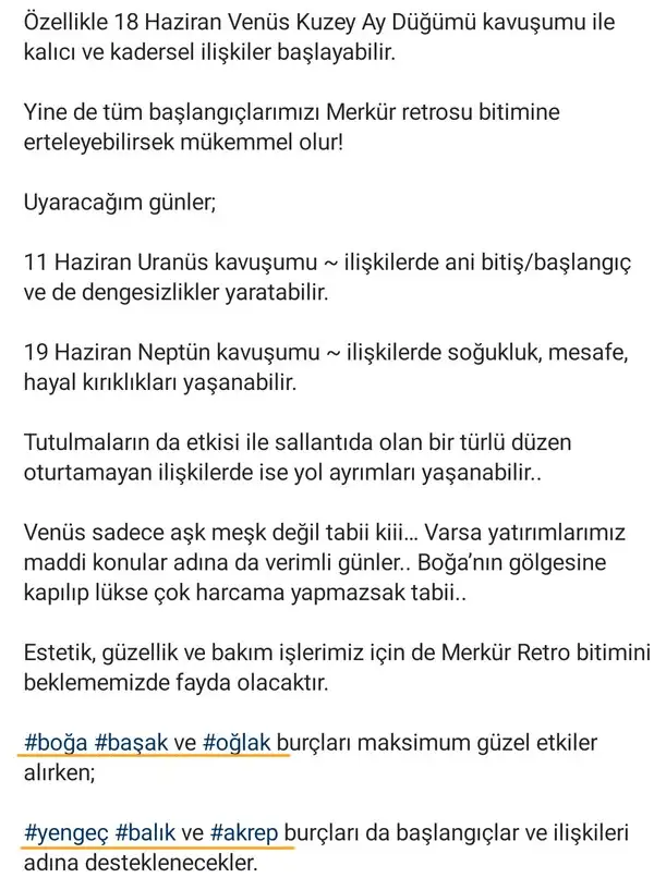 venüs boğa6 (2).webp