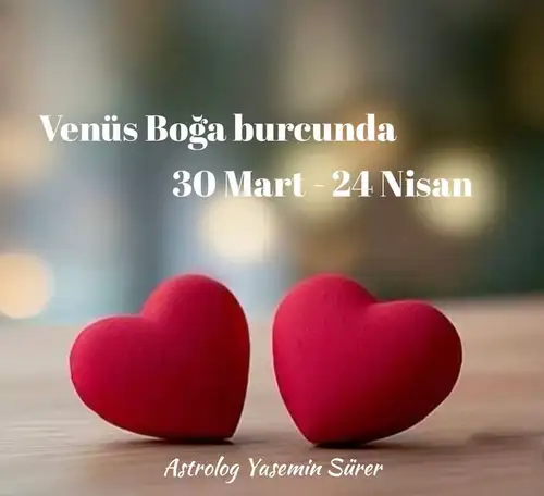 venüs boğa7 yasemn.webp
